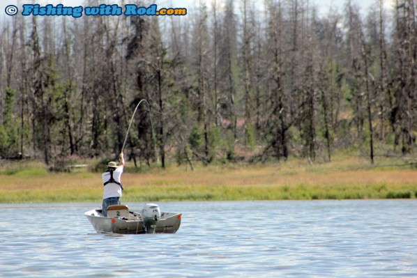 Bent Rods at Tunkwa Lake