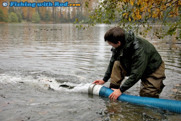 Stocking urban lakes in Vancouver