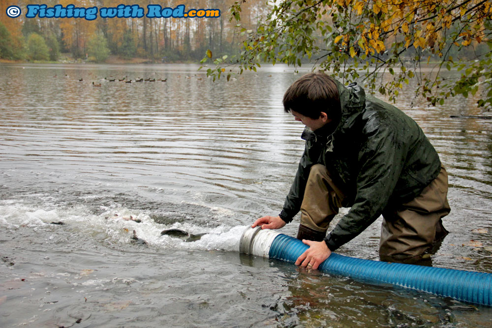 Lure Fishing for Stocked Rainbow Trout