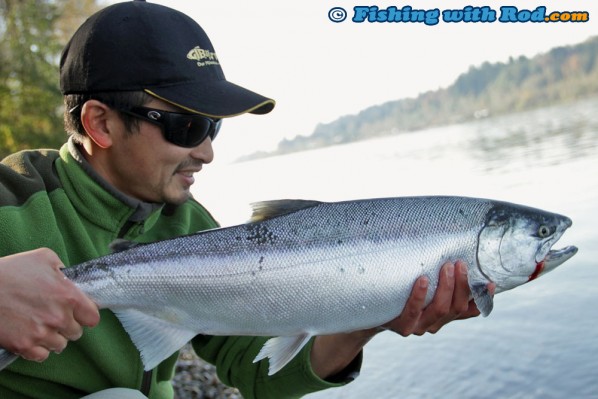 October coho salmon fishing in the Fraser River