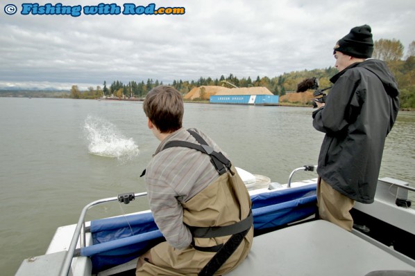 White sturgeon fishing in the Fraser River