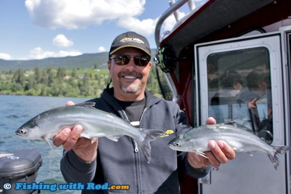 Wood Lake Kokanee