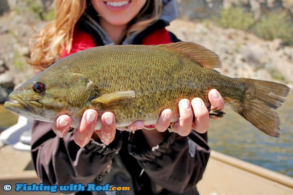 Nice Skaha Lake Smallmouth Bass