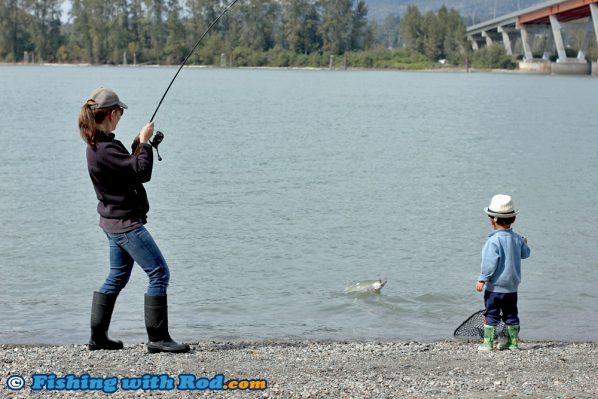 Catching Fraser River Pink Salmon