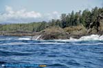 Rocky shoreline of Tofino