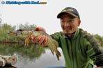 Danish northern pike