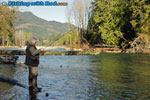 A scenic coastal river in BC