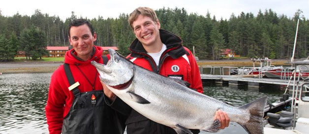 Big chinook salmon at Queen Charlotte Lodge, Haida Gwaii