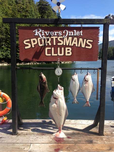 Rivers Inlet BC Fishing Report