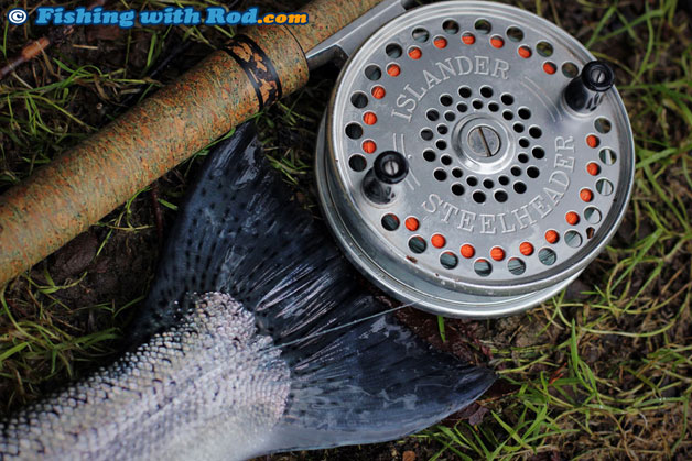 Somass River chinook salmon Somass River chinook salmon