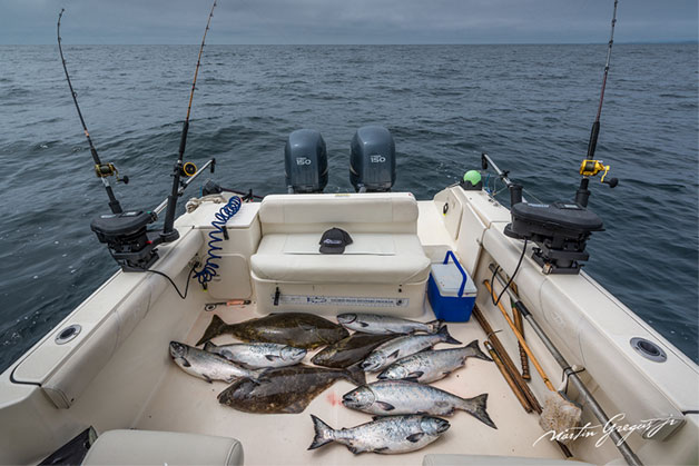 A great day of halibut and chinook salmon fishing in Tofino