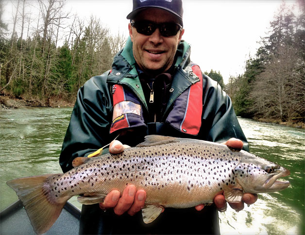 Cowichan River brown trout