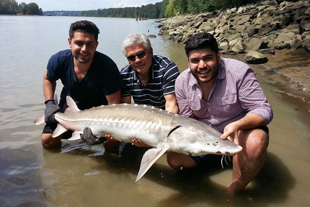 Vancouver sturgeon fishing Vancouver sturgeon fishing