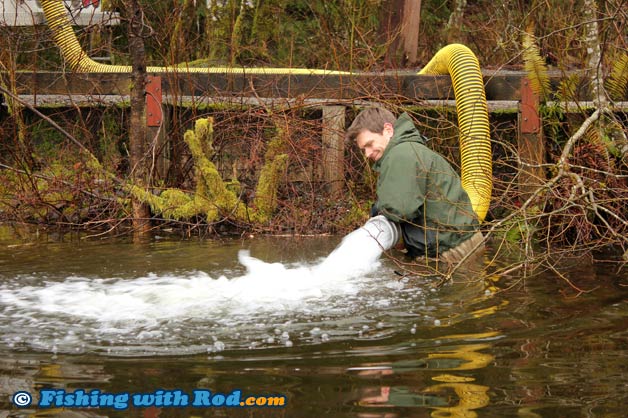 2012 Lower Mainland rainbow trout stocking 2012 Lower Mainland rainbow trout stocking
