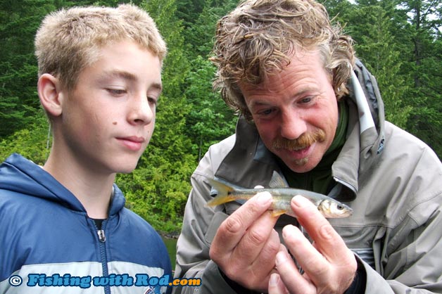 Cultus Lake northern pikeminnow