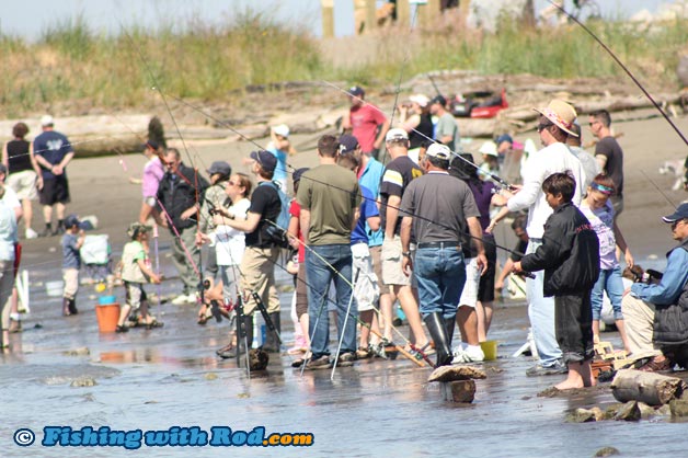 Steveston Bullhead Derby Steveston Bullhead Derby