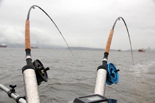 Salmon trolling in Vancouver BC