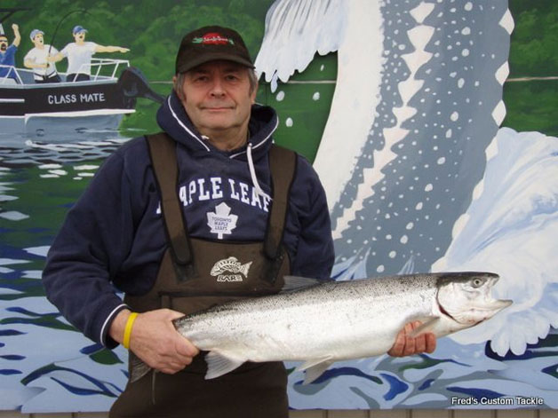 Chris Gadsden weighing in his steelhead at Fred's Custom Tackle Chris Gadsden weighing in his steelhead at Fred's Custom Tackle