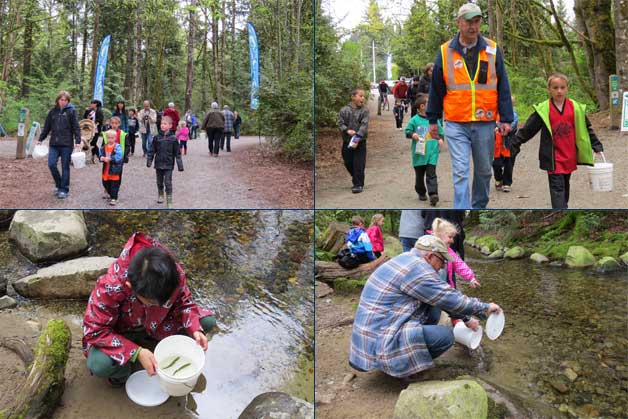 Photo by Hyde Creek Watershed Society Photo by Hyde Creek Watershed Society