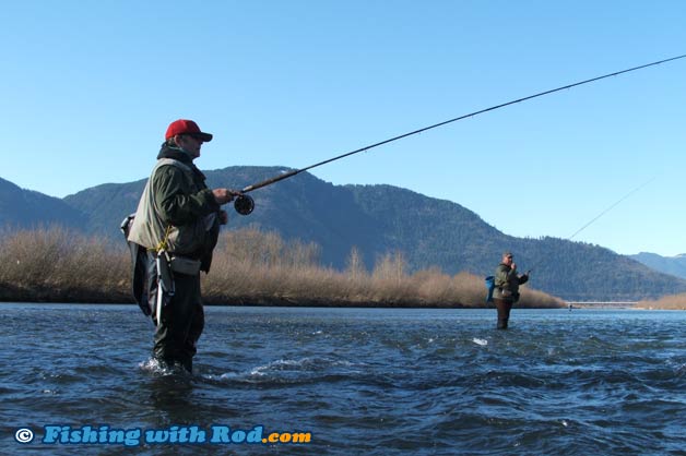 Steelhead broodstock fishing Steelhead broodstock fishing