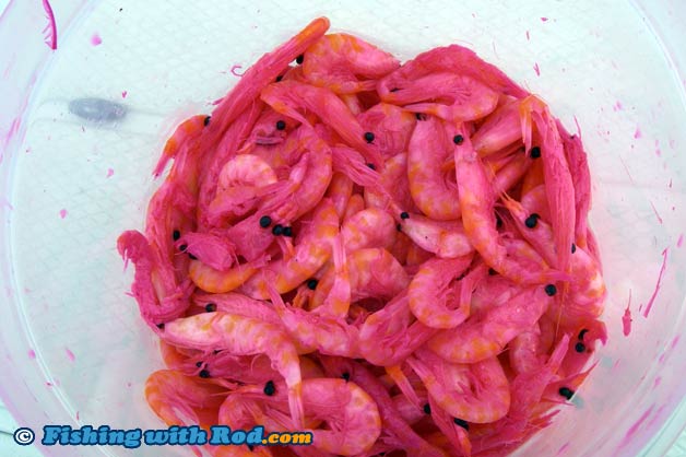 Krill Krill