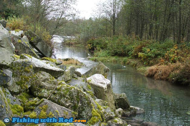 A small side channel of a river A small side channel of a river
