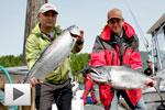 Ucluelet Salmon & Halibut Adventure