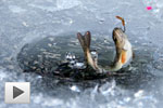 Ice Fishing in BC