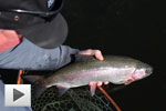 Fall Trout at Stoney Lake