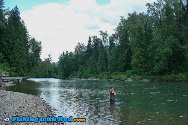 Eagle River trout fishing near Sicamous BC