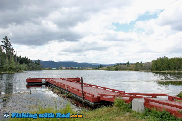 Rainbow trout fishing at Logan Lake BC