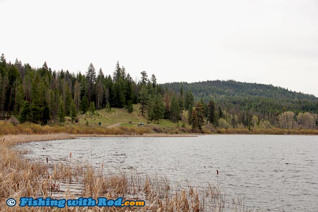 Rainbow trout fishing at Shea Lake, BC