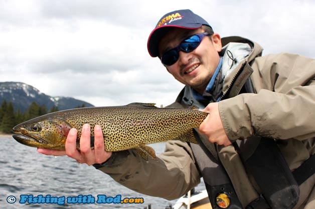 Cutthroat trout at Alta Lake Whistler
