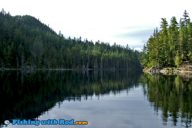 Trout fishing at Brohm Lake Squamish