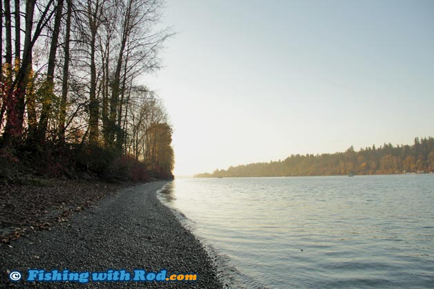 Glen Valley in Tidal Fraser River