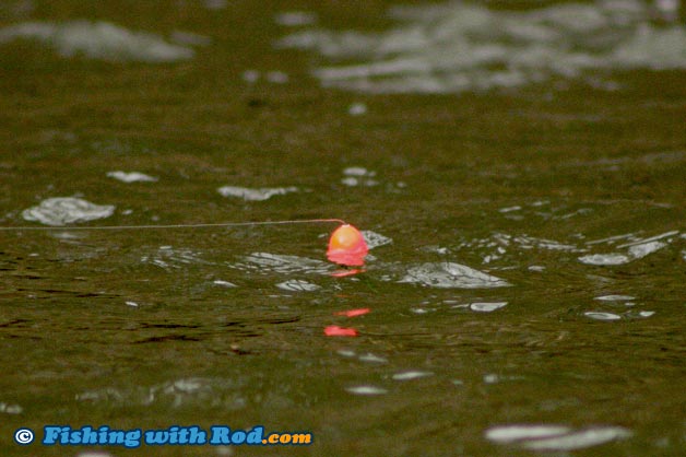 Float depth adjustment for river fishing is important Float depth adjustment for river fishing is important