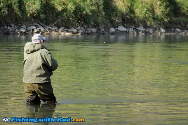 Planning the Perfect River Salmon Fishing Trip