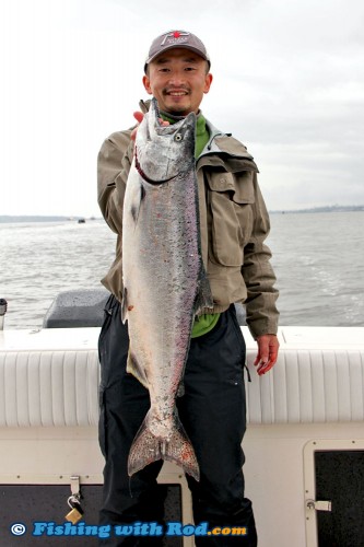 Vancouver saltwater chinook salmon