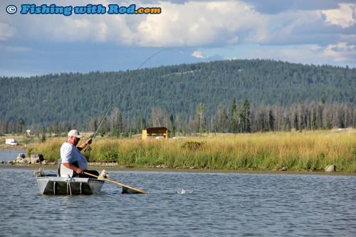 Catching Trout at Tunkwa Lake BC