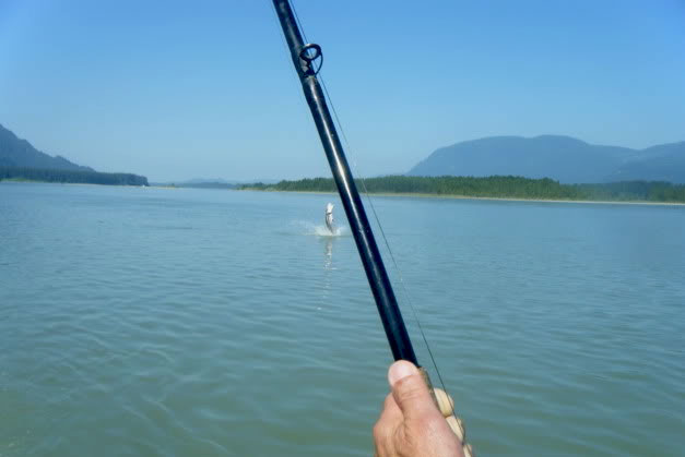 Fraser Valley sturgeon fishing Fraser Valley sturgeon fishing