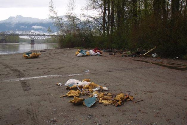 Garbage along the Fraser River in Chilliwack Garbage along the Fraser River in Chilliwack