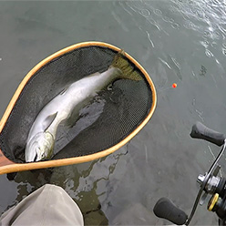 Fishing Trips in Southern British Columbia